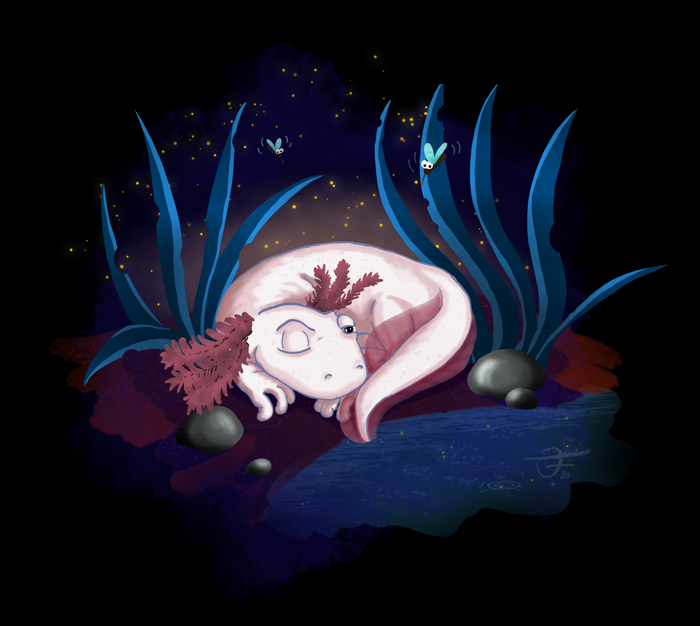 Character design challenge